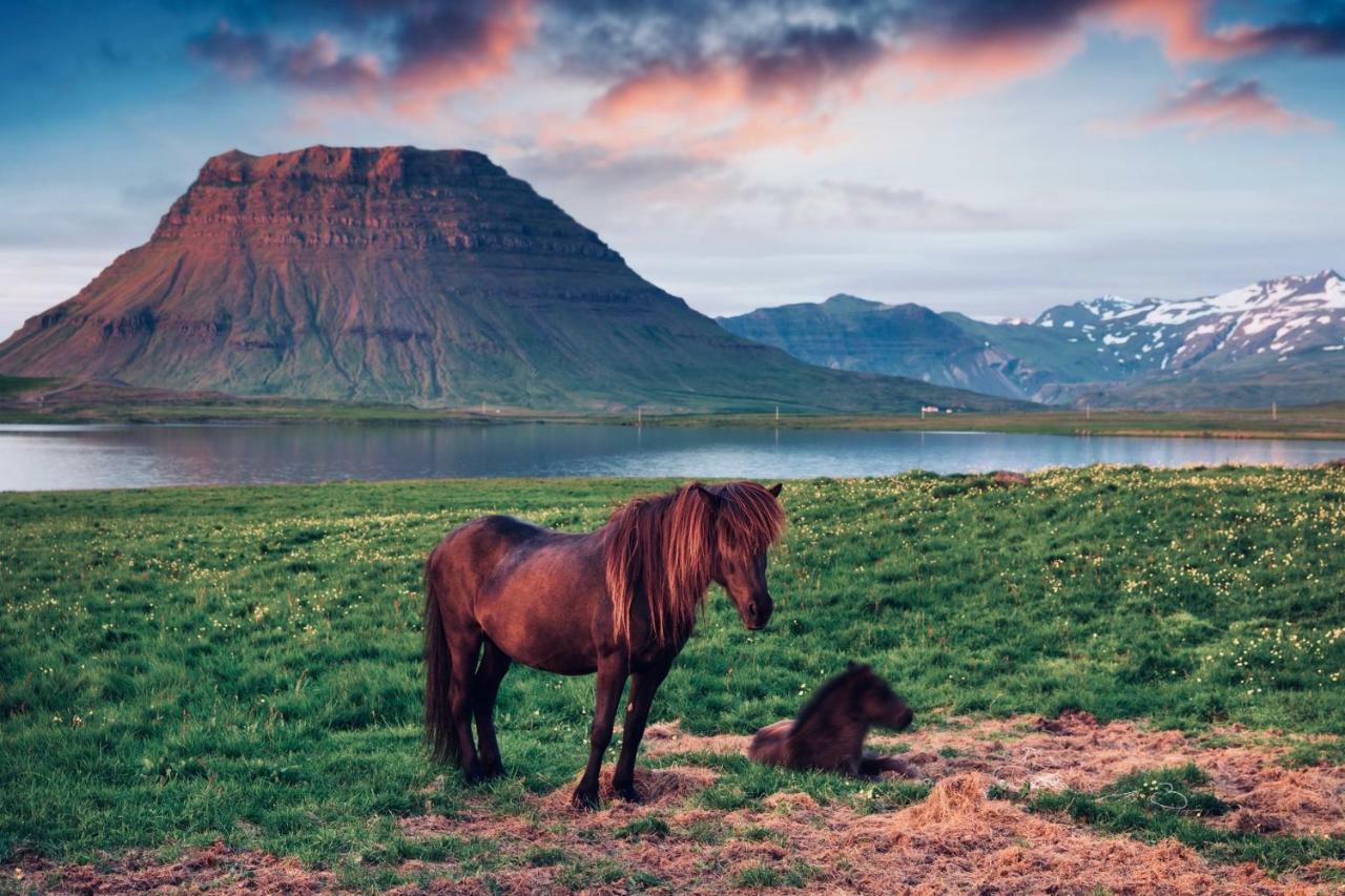 Experience Beautiful Iceland Оулафсвик Экстерьер фото