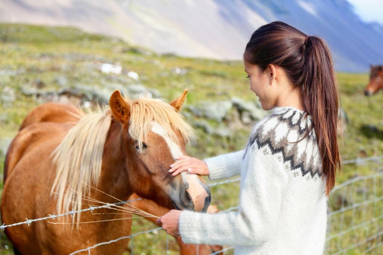 Experience Beautiful Iceland Оулафсвик Экстерьер фото